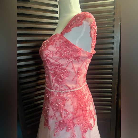 DB Soft Pink Tulle  and  Lace Dress-Sweetheart Bust! - Picture 8 of 9